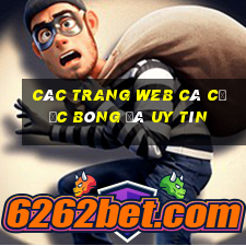 các trang web cá cược bóng đá uy tín