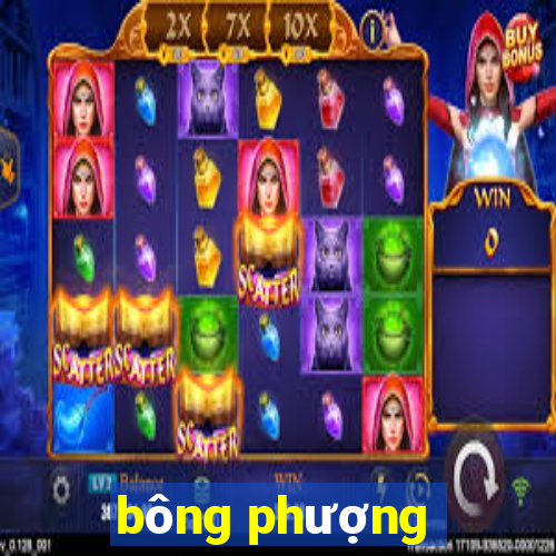 bông phượng