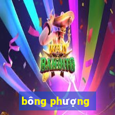 bông phượng