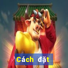 Cách đặt cược XSTB ngày 9