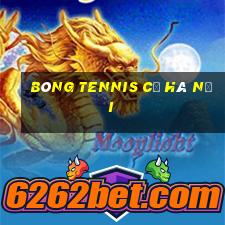 bóng tennis cũ hà nội