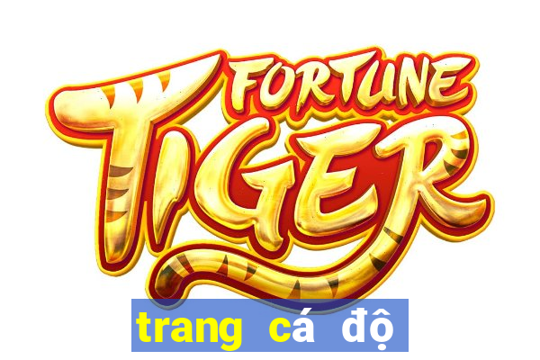 trang cá độ bóng đá fi88