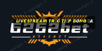 livestream trực tiếp bóng đá