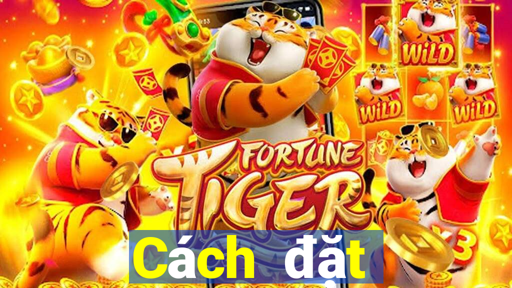 Cách đặt cược XSTT4 ngày 20