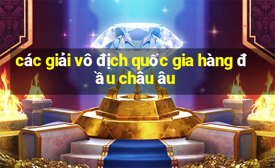 các giải vô địch quốc gia hàng đầu châu âu