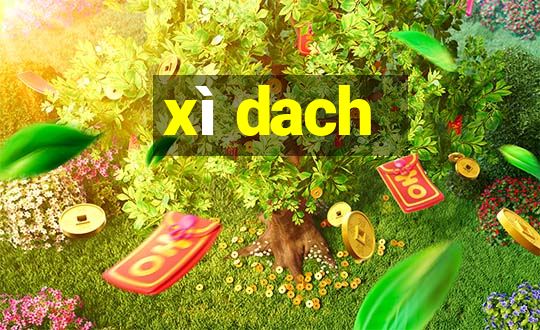 xì dach