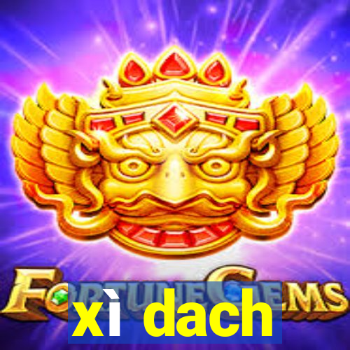 xì dach