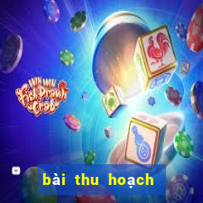 bài thu hoạch beer game