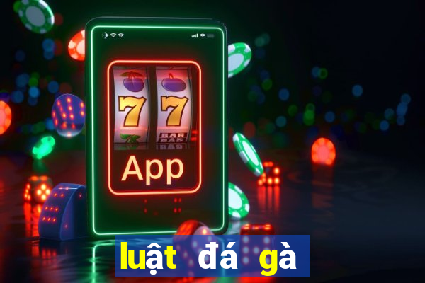 luật đá gà cựa sắt