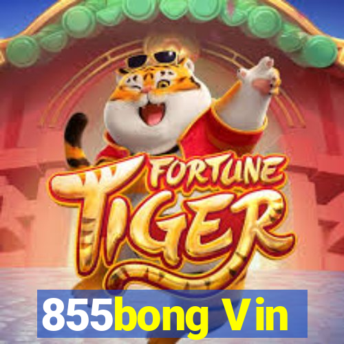 855bong Vin