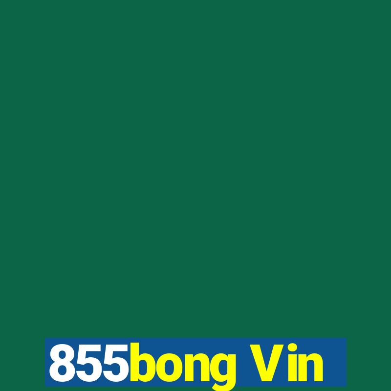 855bong Vin