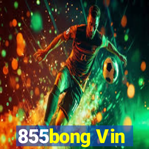 855bong Vin