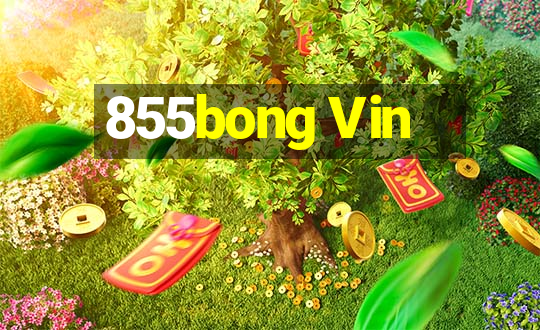 855bong Vin