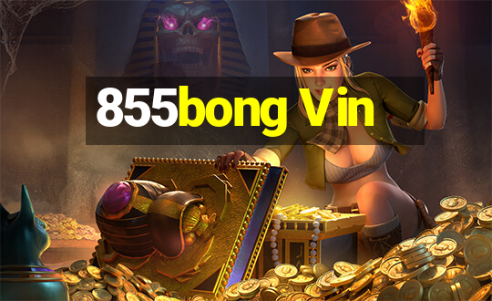 855bong Vin