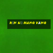 rắn hổ mang vàng