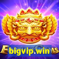 bigvip.win