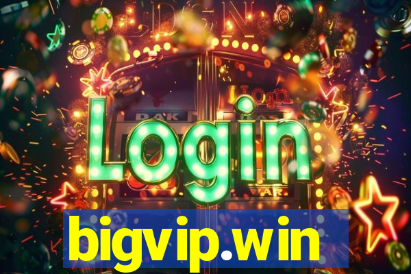 bigvip.win