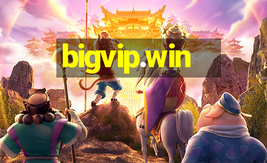 bigvip.win