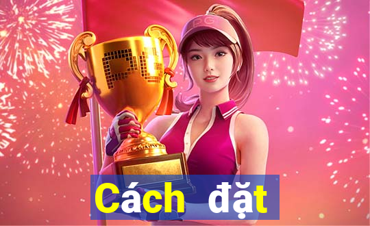 Cách đặt cược XSQT ngày 17