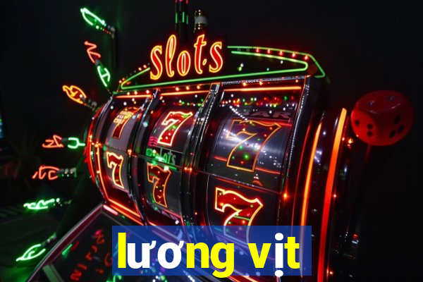 lương vịt