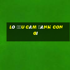 lô đầu câm đánh con gì