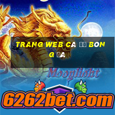 Trang web cá độ bóng đá