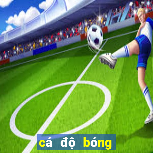 cá độ bóng đá club