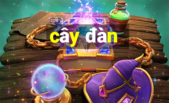 cây đàn