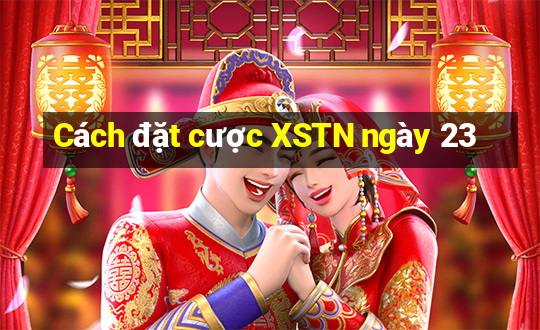 Cách đặt cược XSTN ngày 23