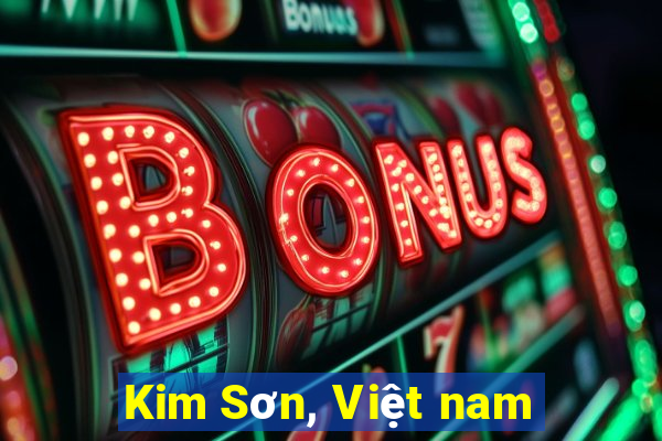 Kim Sơn, Việt nam