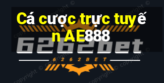 Cá cược trực tuyến AE888