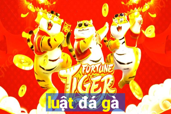 luật đá gà