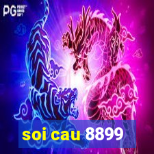 soi cau 8899