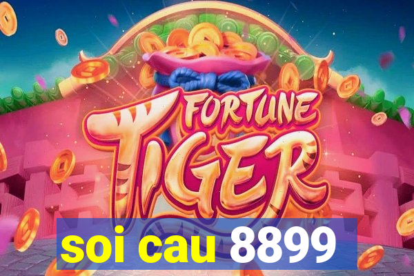 soi cau 8899