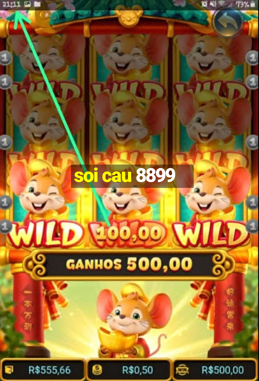 soi cau 8899