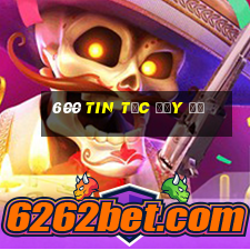 600 Tin tức đầy đủ