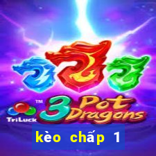 kèo chấp 1 trái 1 4 là sao