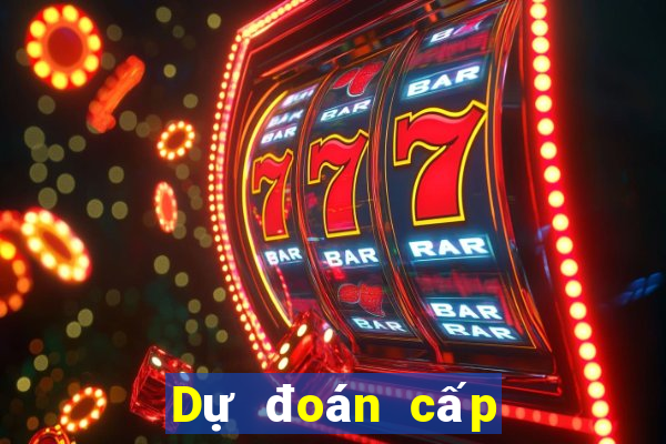 Dự đoán cấp độ bóng đá đơn