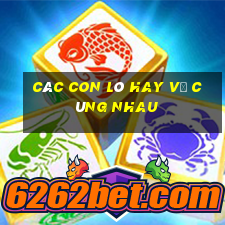 các con lô hay về cùng nhau