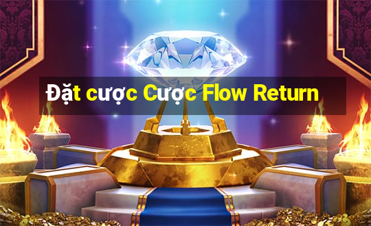 Đặt cược Cược Flow Return