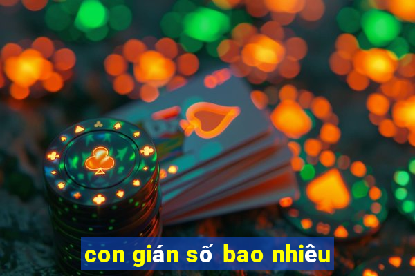 con gián số bao nhiêu