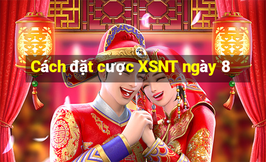 Cách đặt cược XSNT ngày 8