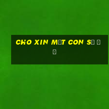 cho xin một con số đề