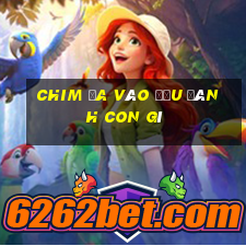 chim ỉa vào đầu đánh con gì