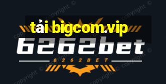 tải bigcom.vip