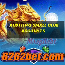 auditing small club accounts