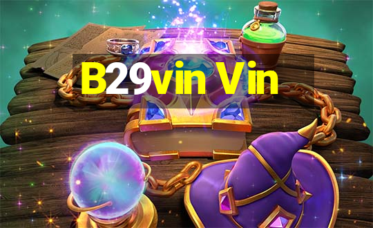 B29vin Vin