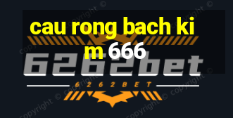 cau rong bach kim 666