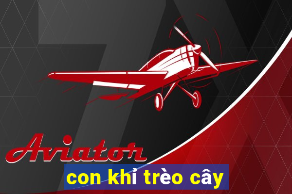 con khỉ trèo cây