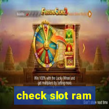 check slot ram